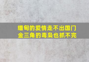 缅甸的爱情走不出国门 金三角的毒枭也抓不完